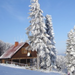 Де волиняни відпочивали на різдвяно-новорічні свята та куди планують поїздки цієї зими