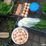 У місті на Волині значно подорожчали домашні курячі яйця: у чому причина?