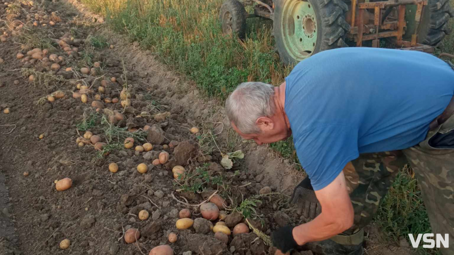 Скільки коштує викопати картоплю у Луцькому районі