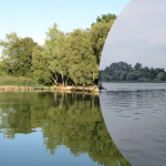 Озеро Дольськ на Волині: чому водойму вважають наймістичнішою та які легенди вона приховує