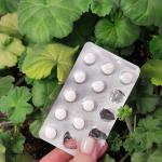 Три аптечні препарати допоможуть оживити пеларгонії взимку