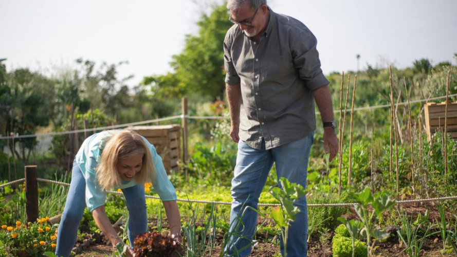 Коли після Великодня можна прати і працювати на городі: чи є заборони після трьох днів свята
