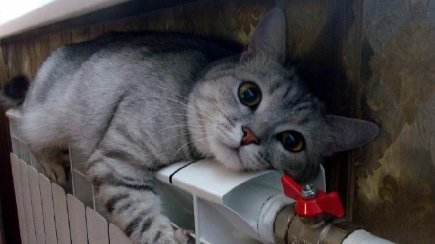 Аварія на тепломережі в Луцьку – кілька будинків тимчасово без опалення