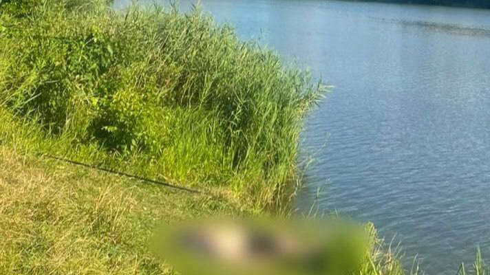 удар струмом, харківщина, рибалка