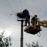 На Волині енергетики після бурі допомогли врятувати лелечу родину