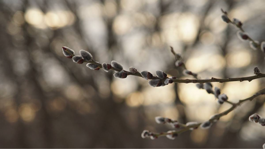 прогноз погоди