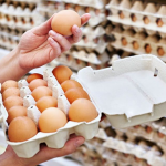 Селищна рада на Волині хоче закупити курячі яйця по 50 гривень за штуку
