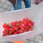 Скільки коштує черешня та вишня на ринку у місті на Волині