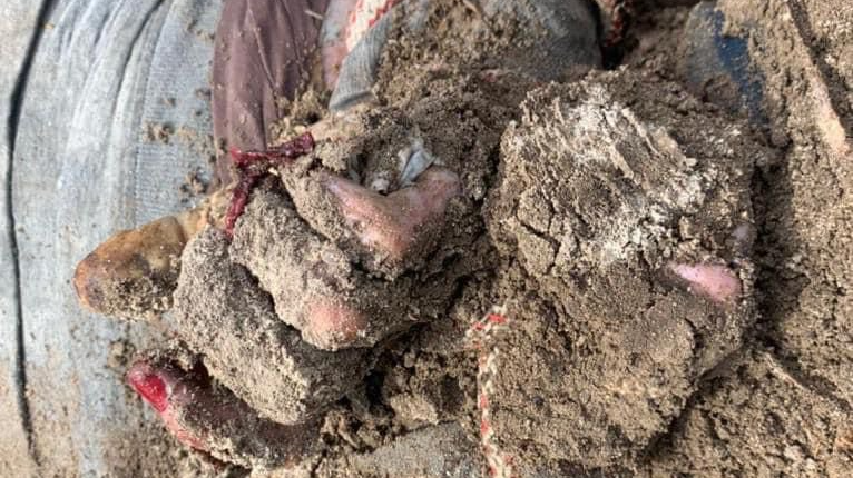 На Київщині виявили поховання закатованих цивільних з зірваними нігтями та зв'язаними руками