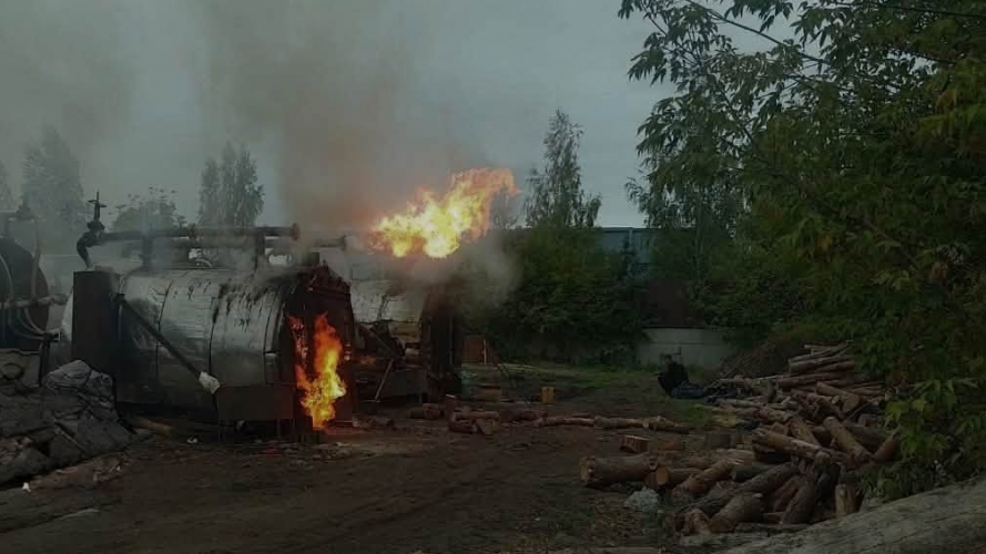 На Волині незаконно випалювали деревне вугілля: знайшли 65 кубометрів деревини