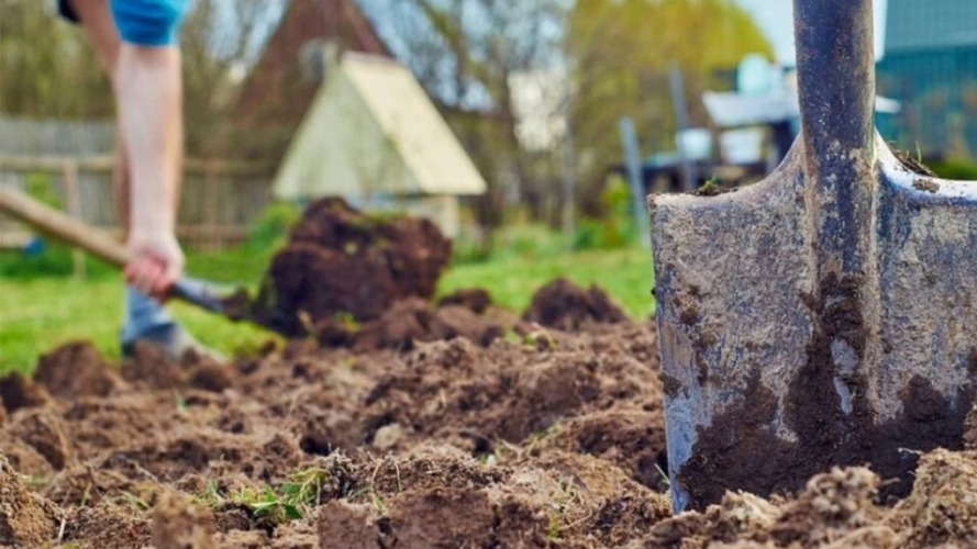 Березневий сигнал від природи: коли вже можна починати роботи на городі