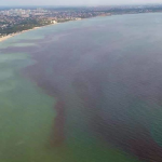 Чорне море раптом стало червоним в Одесі