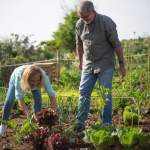 Коли після Великодня можна прати і працювати на городі: чи є заборони після трьох днів свята