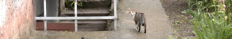 У Луцьку – сказ: не всіх контактних вдалось вакцинувати, є відмови