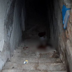 Спустився в укриття, а там - мрець: під час повітряної тривоги в Житомирі знайшли тіло