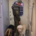 Військового з собакою не впустили у вагон