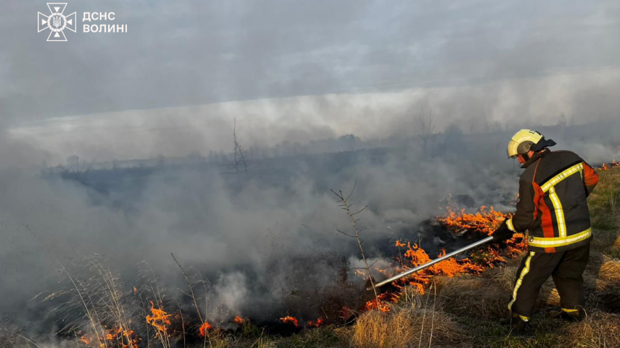 Через підпали на Волині за добу вигоріло понад 12 гектарів сухостою