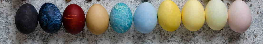 Що робити зі шкаралупою після освячених яєць: важливі традиції, про які мало хто знає