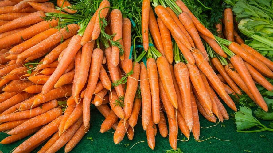 Найсолодші сорти моркви, які обов’язково треба посадити на своєму городі