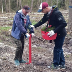 Понад гектар лісу на Волині висадили на честь загиблого воїна-лісівника Богдана Костючика
