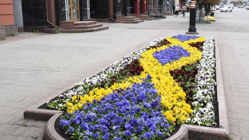 Багаторічні проти однорічних: у Луцьку вимагають змін у міському озелененні