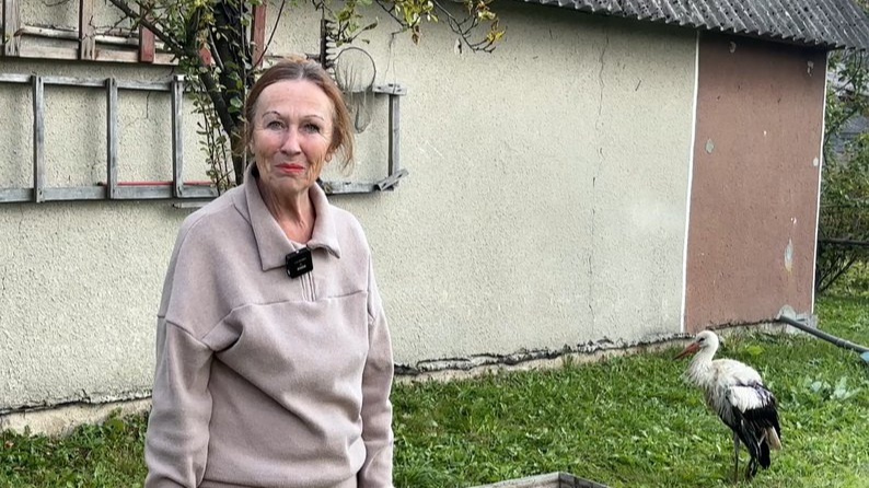 На Волині вчителька на пенсії прихистила травмованого лелеку