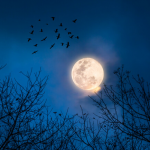 Через кілька днів - повний Місяць: що не можна робити у цей період