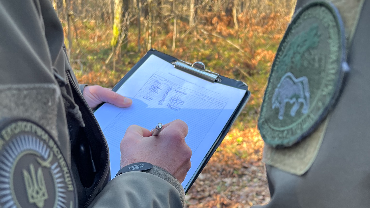 У Луцькому районі на території нацпарку виявили незаконну рубку лісу на майже 2 млн грн