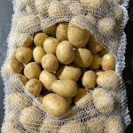 Скільки коштує насіннєва картопля на Волині?