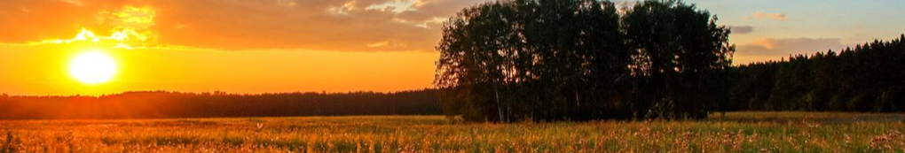 На Волині - сухо і спекотно: прогноз погоди на початок липня