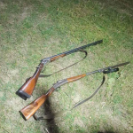 На Волині єгері зупинили браконьєрів і врятували косулю із закинутого колодязя