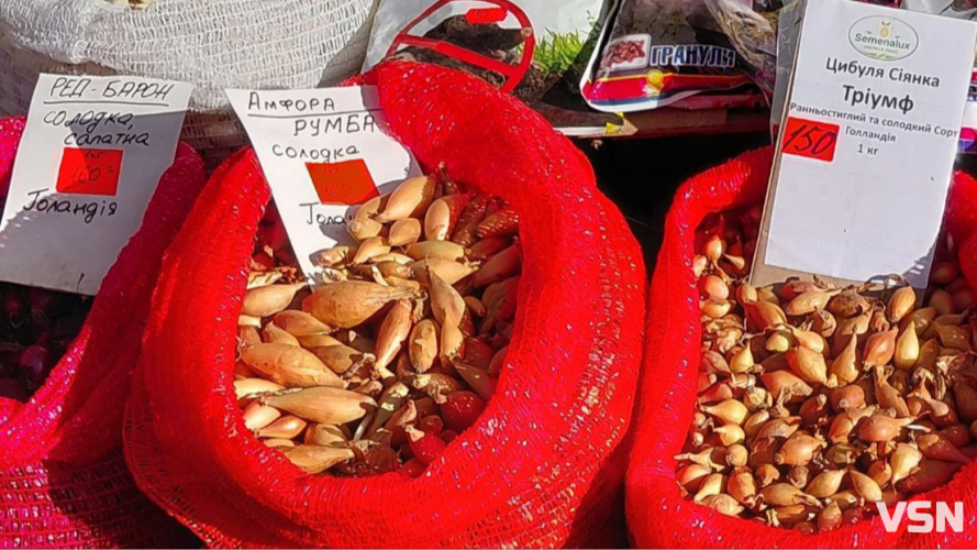 Скільки коштує цибуля-сіянка на ринку у Луцьку?