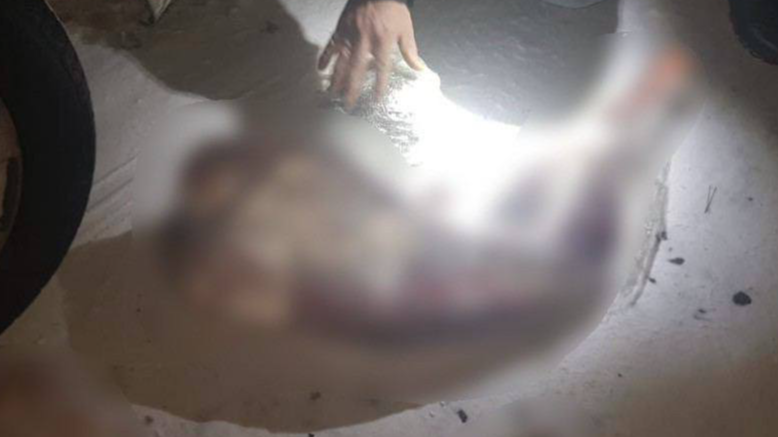 Волинянин незаконно вбив зайця й козу і вирішив відкупитись