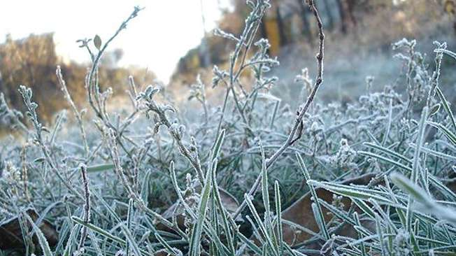 прогноз погоди на 24 листопада