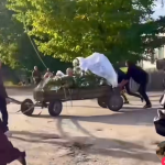 На Волині зберегли давню весільну традицію: батьків молодят возять на возах