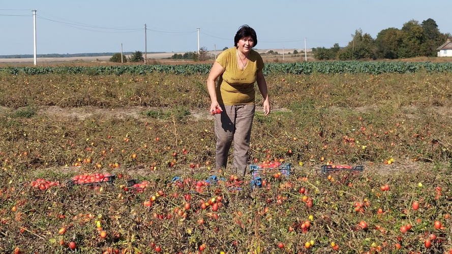 Оксана Янчук з Волині, консервація помідорів для військових