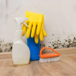 Як швидко позбутися плісняви в квартирі простими засобами