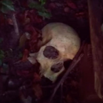 У центрі Луцька перехожі виявили моторошну знахідку - людський череп