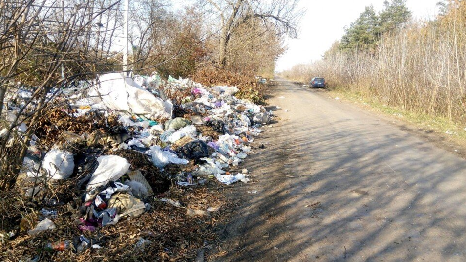 Майже в кожній громаді: на Волині постійно виявляють стихійні сміттєзвалища
