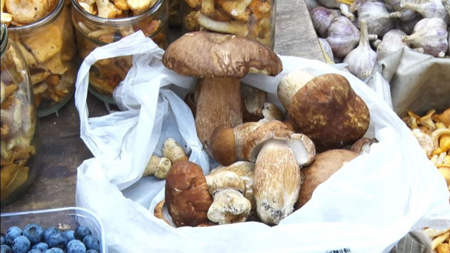 Сезон розпочато: які гриби можна купити на луцькому ринку та скільки доведеться платити