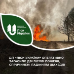 Під час чергової ворожої атаки на Волині та Рівненщині виникли дві лісові пожежі