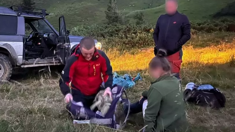 30-річну волинянку під час мандрівки в горах покусав собака вівчарів