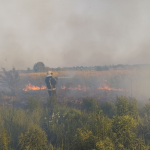 На Волині у пожежі сухої трави та чагарників загинув чоловік