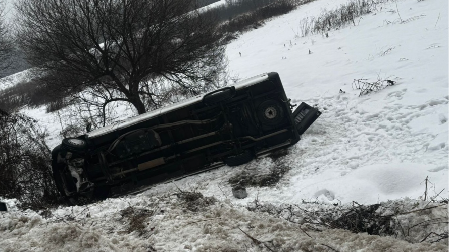 Мікроавтобус із дітьми перекинувся на Закарпатті: юні туристи їхали на відпочинок у Карпати