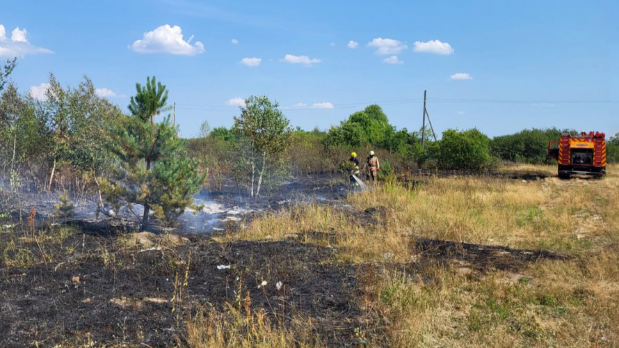 На Волині за добу сталося чотири пожежі в екосистемах: горіли сміття, суха трава та пшениця