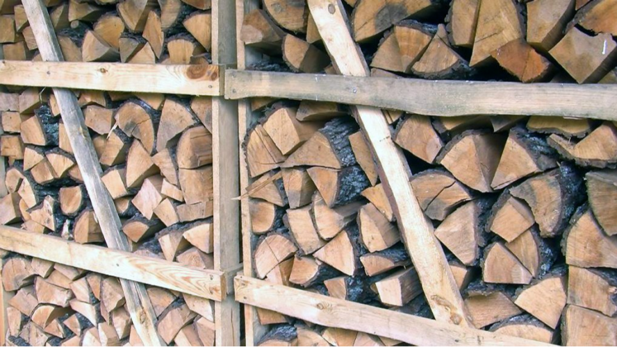 Цього опалювального сезону проблем не буде: яка ситуація з дровами на Волині