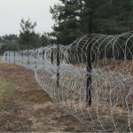 На Волині чоловік намагався втекти до Білорусі: як його покарали
