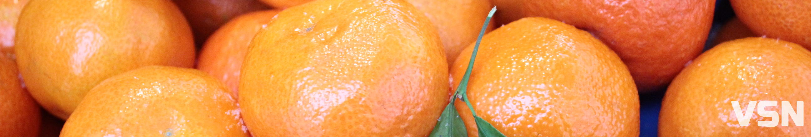 Скільки коштують мандарини на ринку у Луцьку?