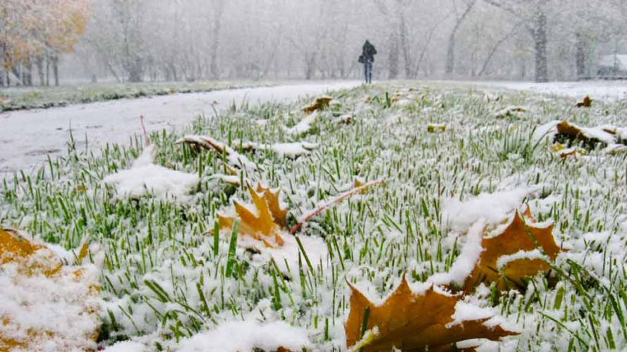 Початок зими зовсім скоро: синоптики повідомили, коли на Волині випаде перший сніг