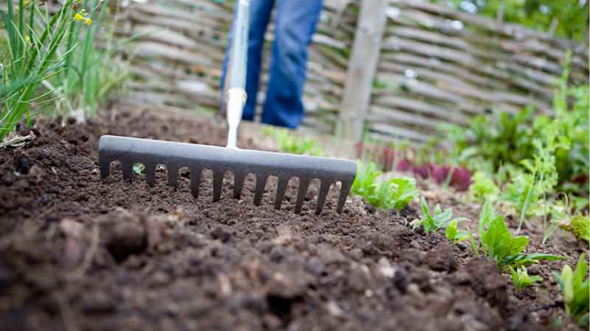 Місячний посівний календар на травень 2026: що не можна і можна садити в останній місяць весни